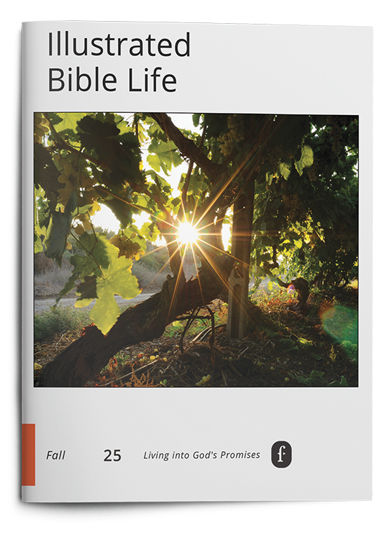 Illustrated Bible Life